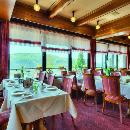 Waldhotel Sonnenberg Hotel 3*