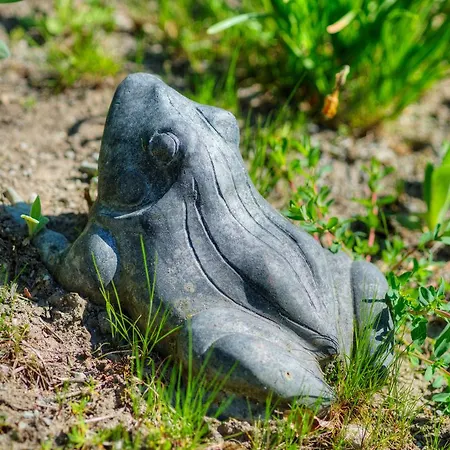 호텔 Waldhotel Sonnenberg 볼렌도르프