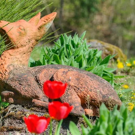 호텔 Waldhotel Sonnenberg