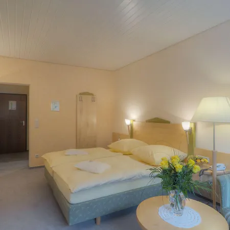 Hotel Waldhotel Sonnenberg 3*