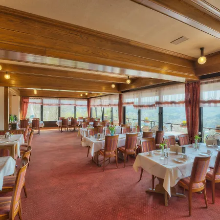 Waldhotel Sonnenberg 3*