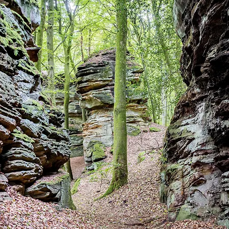Waldhotel Sonnenberg Hotel Bollendorf