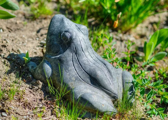 Hotel Waldhotel Sonnenberg Bollendorf