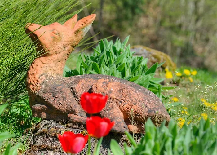 Hotel Waldhotel Sonnenberg