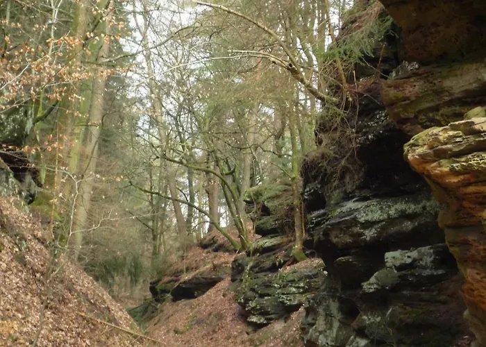 索娜伯格瓦尔德酒店