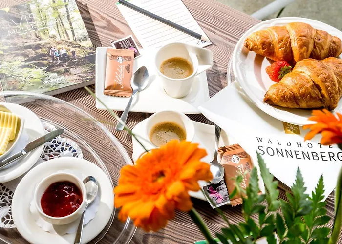 索娜伯格瓦尔德酒店 酒店 波伦道夫