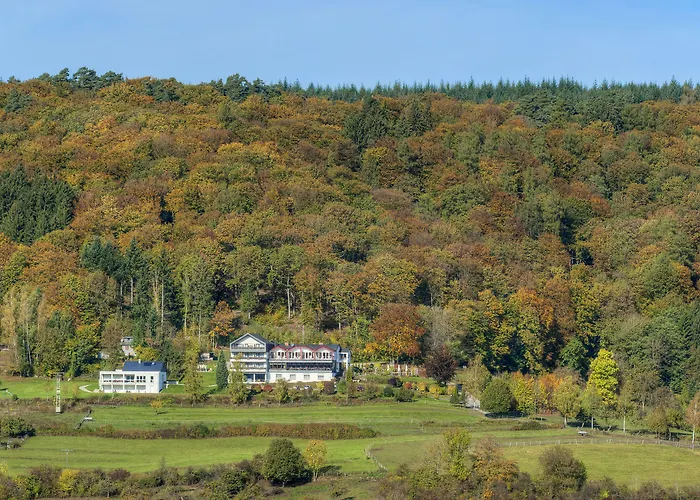 Waldhotel Sonnenberg Hotel