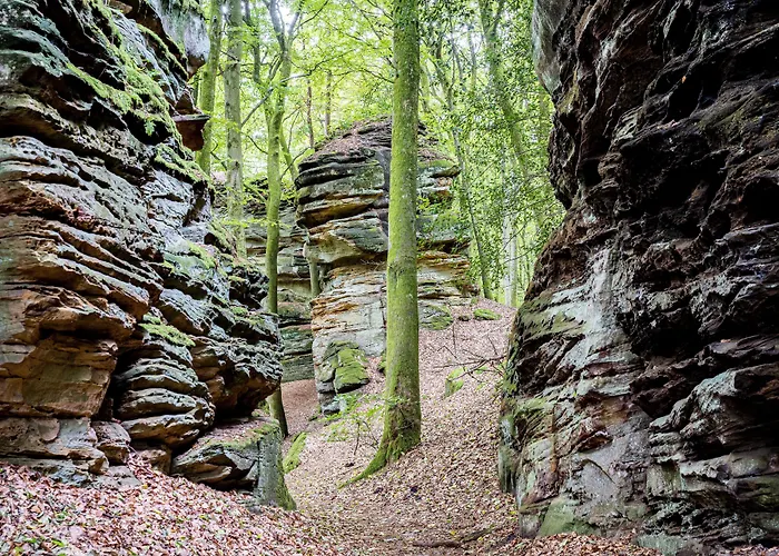 Waldhotel Sonnenberg Hotel Bollendorf