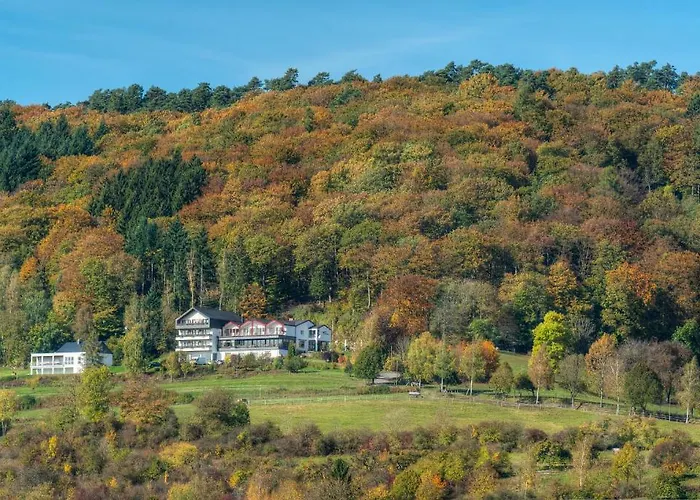 Waldhotel Sonnenberg